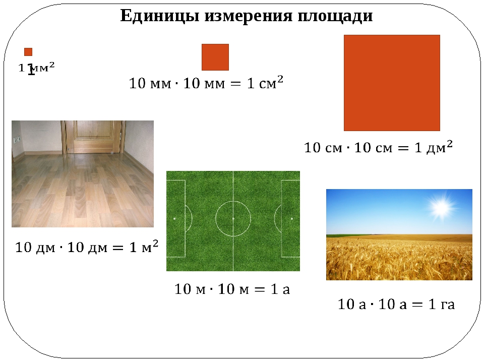 Измерение площадей 5 класс. Площадь прямоугольника единицы измерения. Единицы измерения площади 5 класс. Площадь единицы площади. Площадь единицы измерения площади 5 класс.