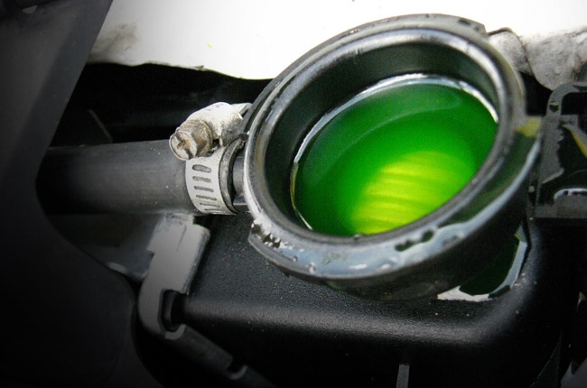 6 must-know fluids in your car
